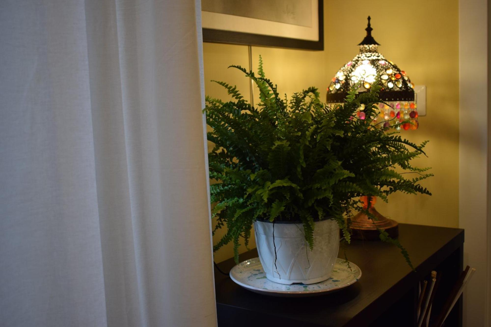 La Dimora Dell'Arte Bed & Breakfast Bari Eksteriør bilde